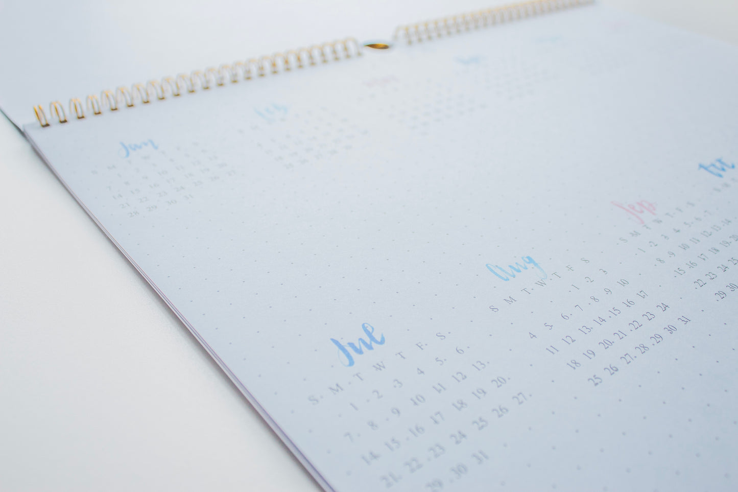 2024 Illustrated Desk & Wall Calendar
