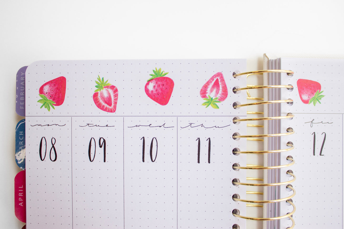 2023-24 Personalized Illustrated Planner White
