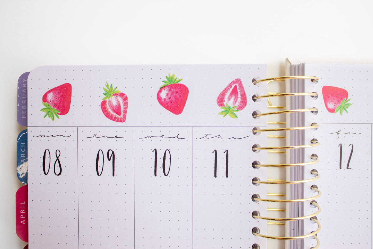 2024 Personalized Illustrated Planner Navy