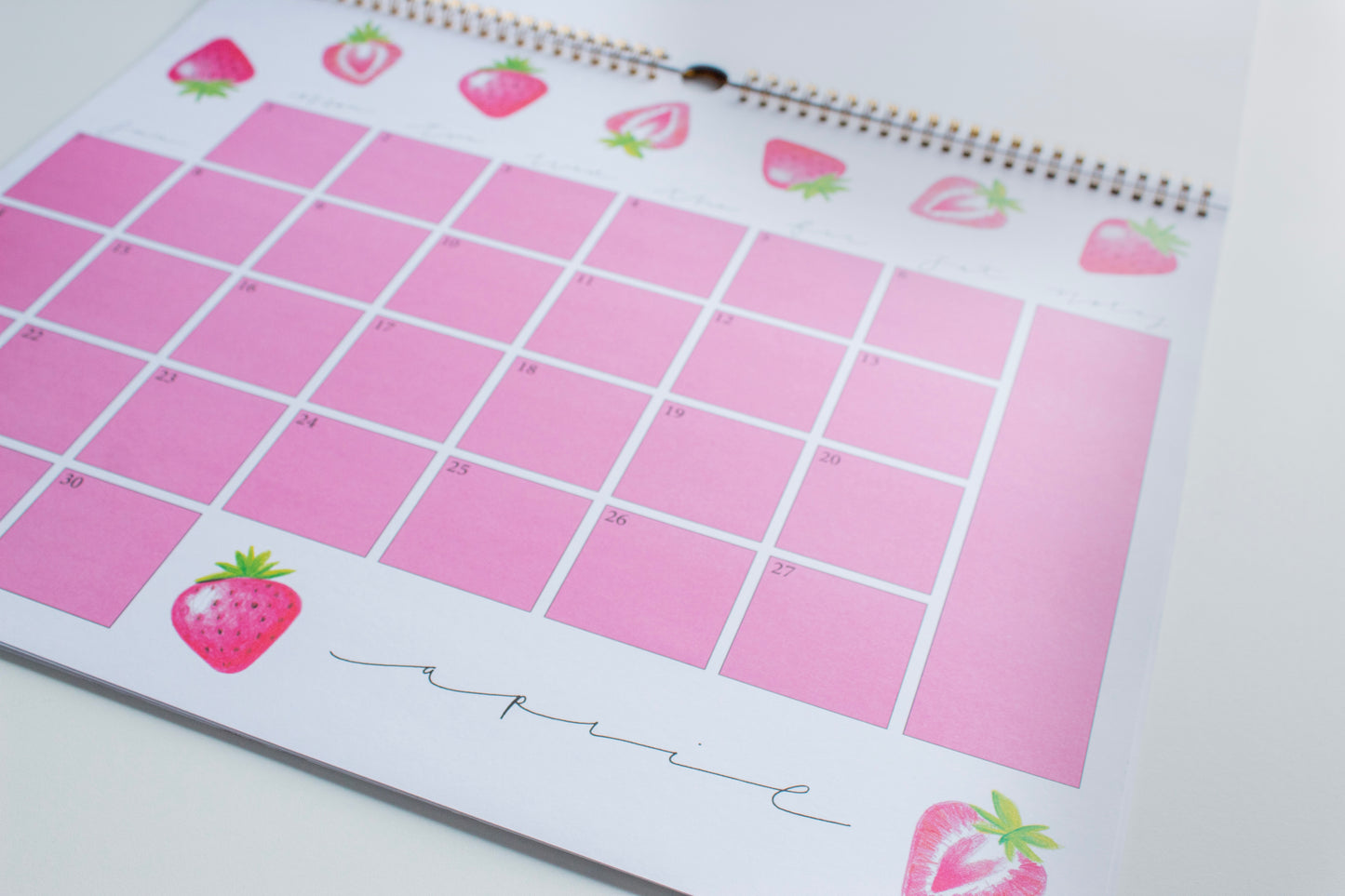 2024 Illustrated Desk & Wall Calendar
