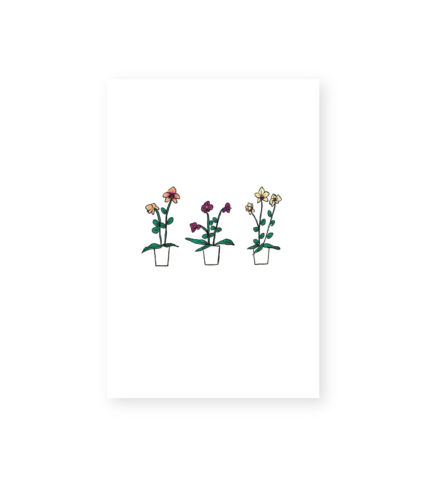 Orchid Pots Art Print