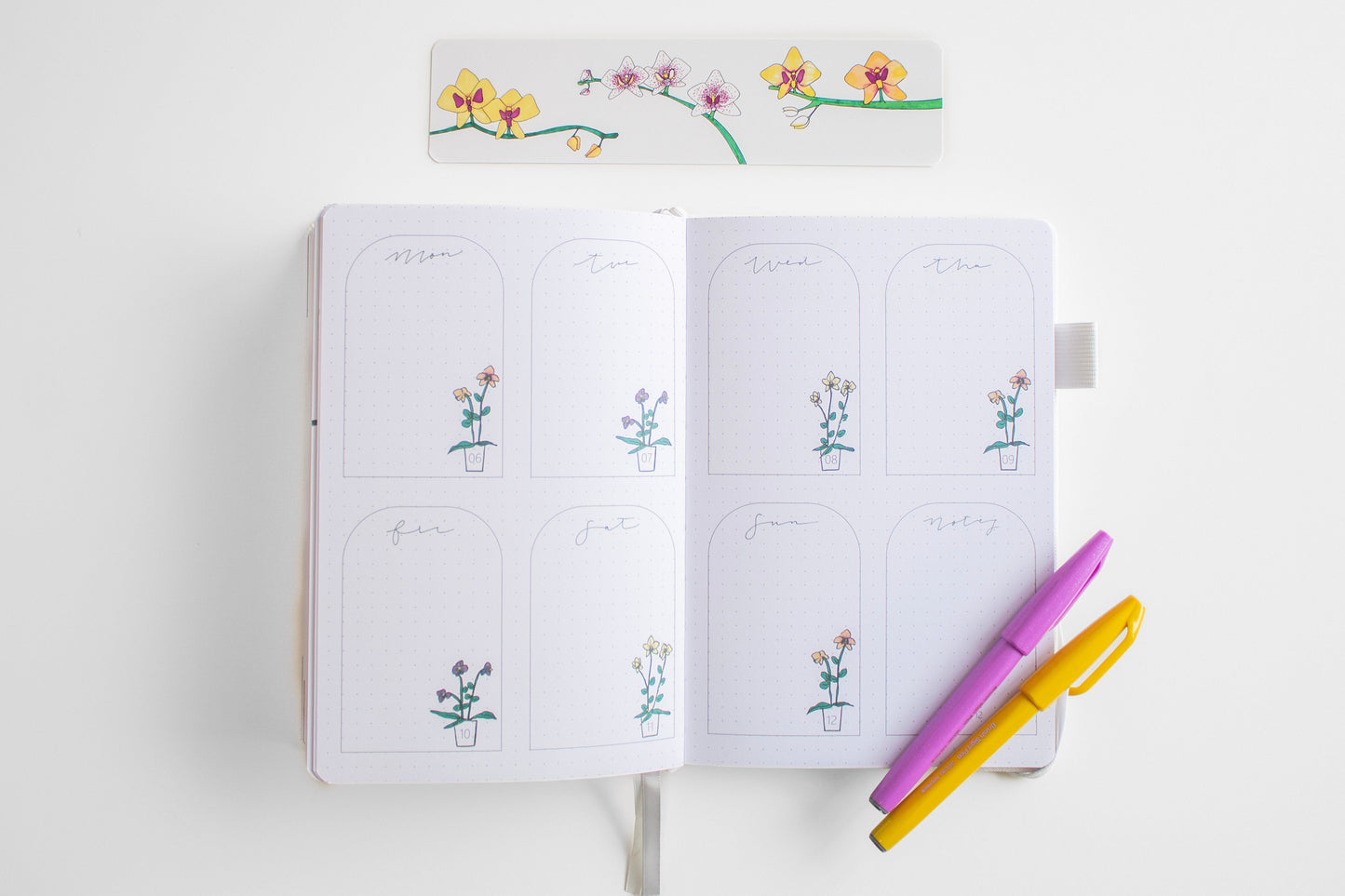 2024 Illustrated Planner Sky