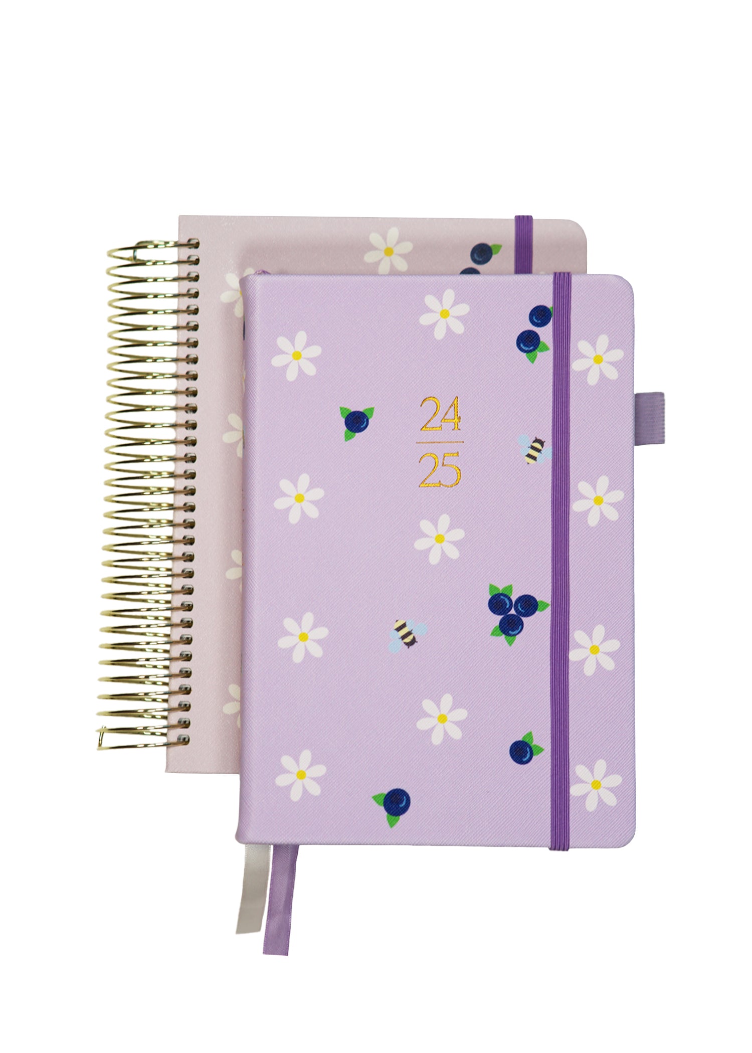 2025 Personalized Ilustrated Planners