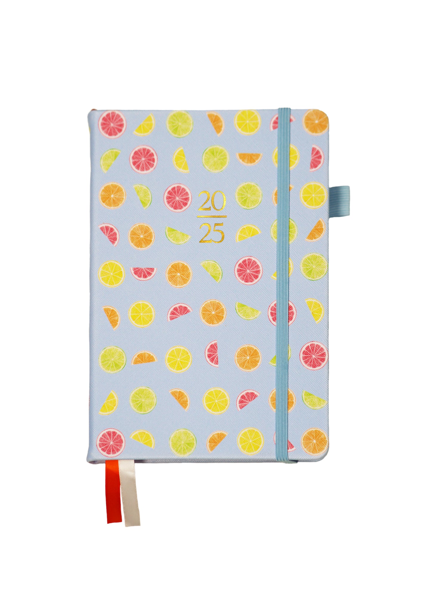 2025 Personalized Illustrated Planner Citrus