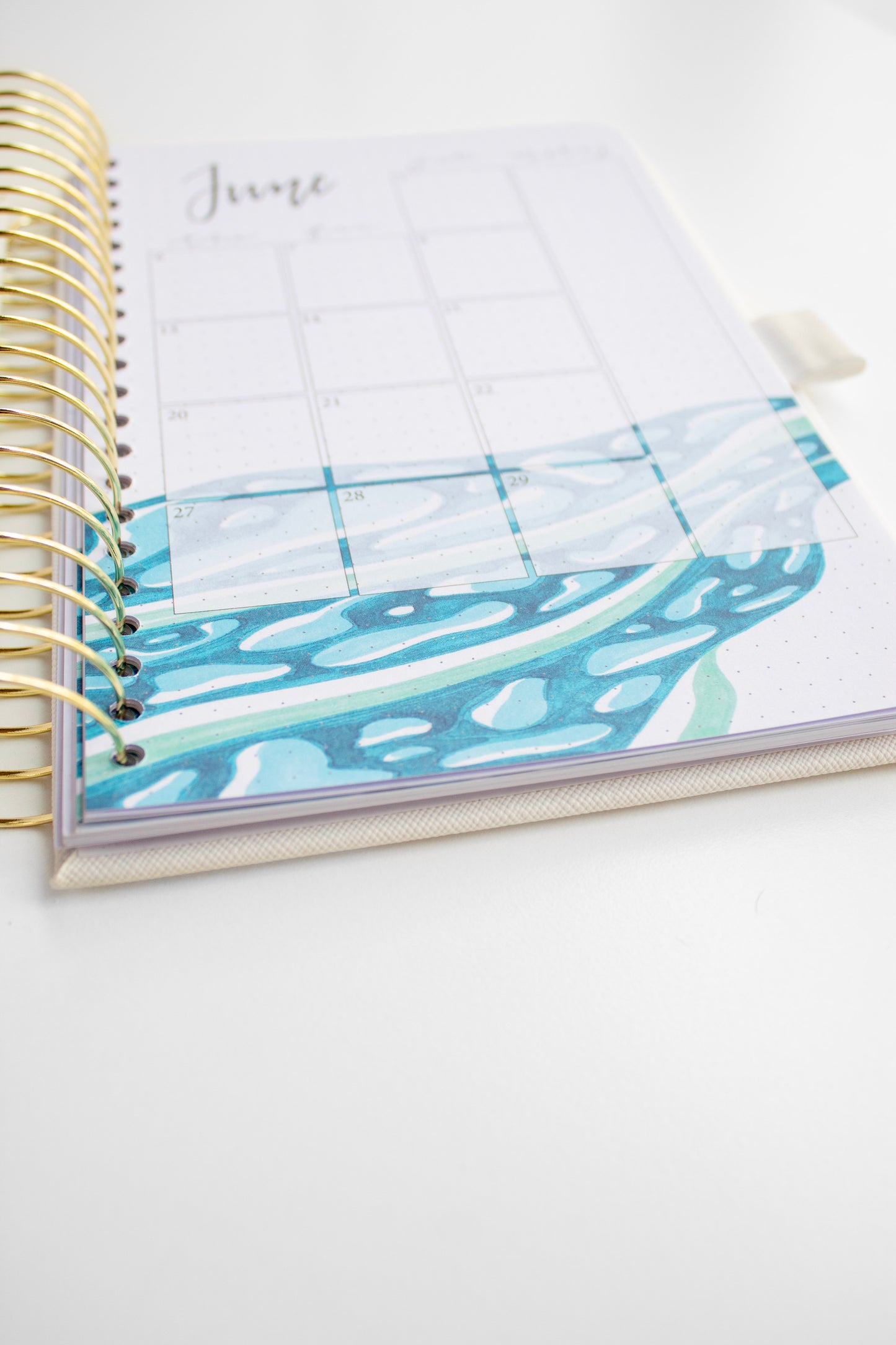 2023-24 Personalized Illustrated Planner Sky