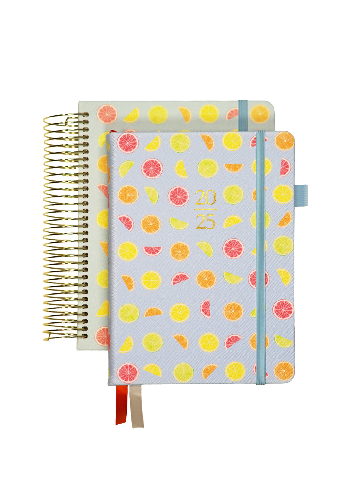 2025 Personalized Illustrated Planner Citrus