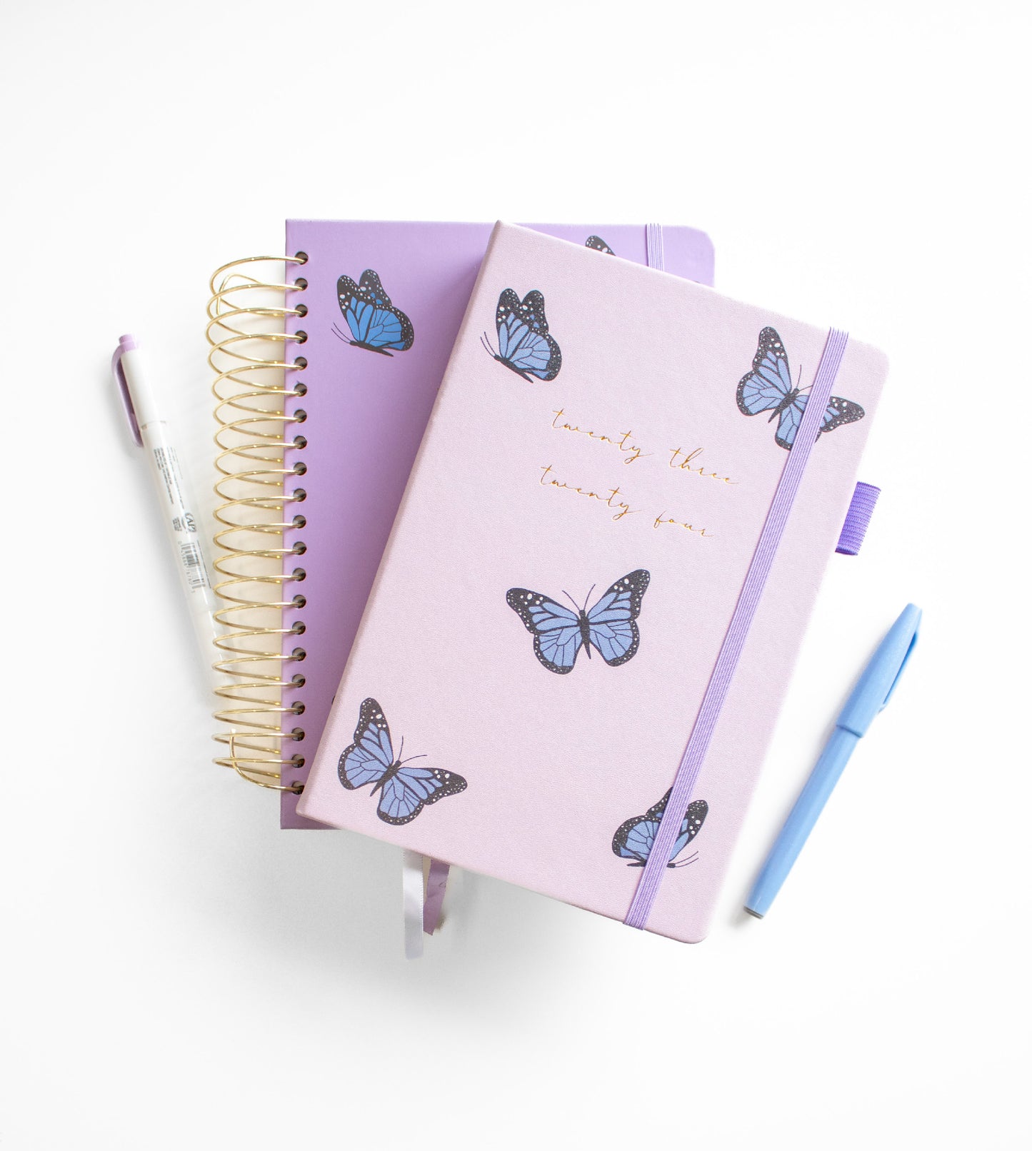 2023-24 Illustrated Planner Butterflies