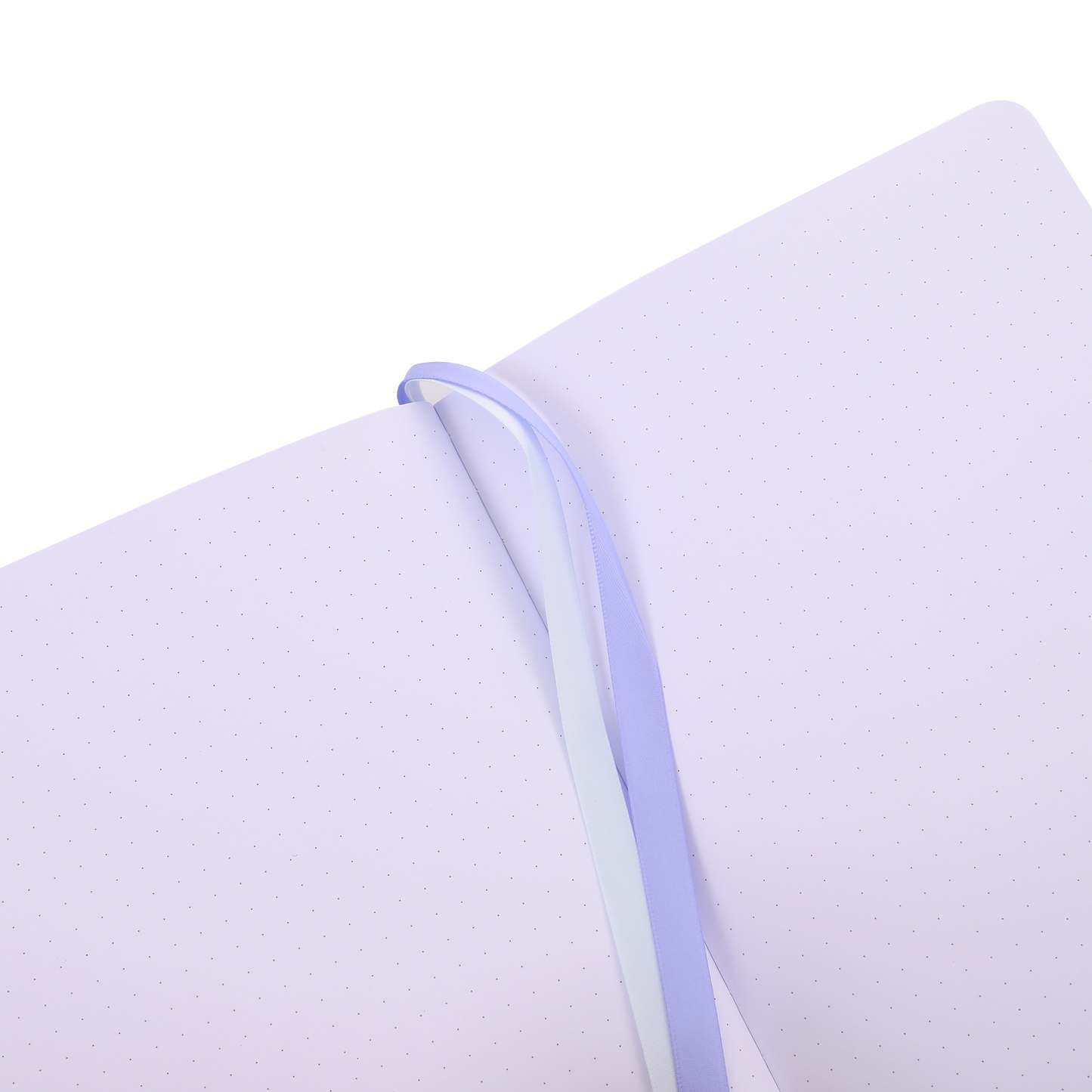 Lemons + Blueberries  Notebook