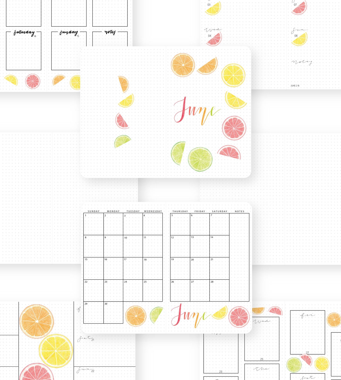 2024-25 Illustrated Planner Pointe Pink