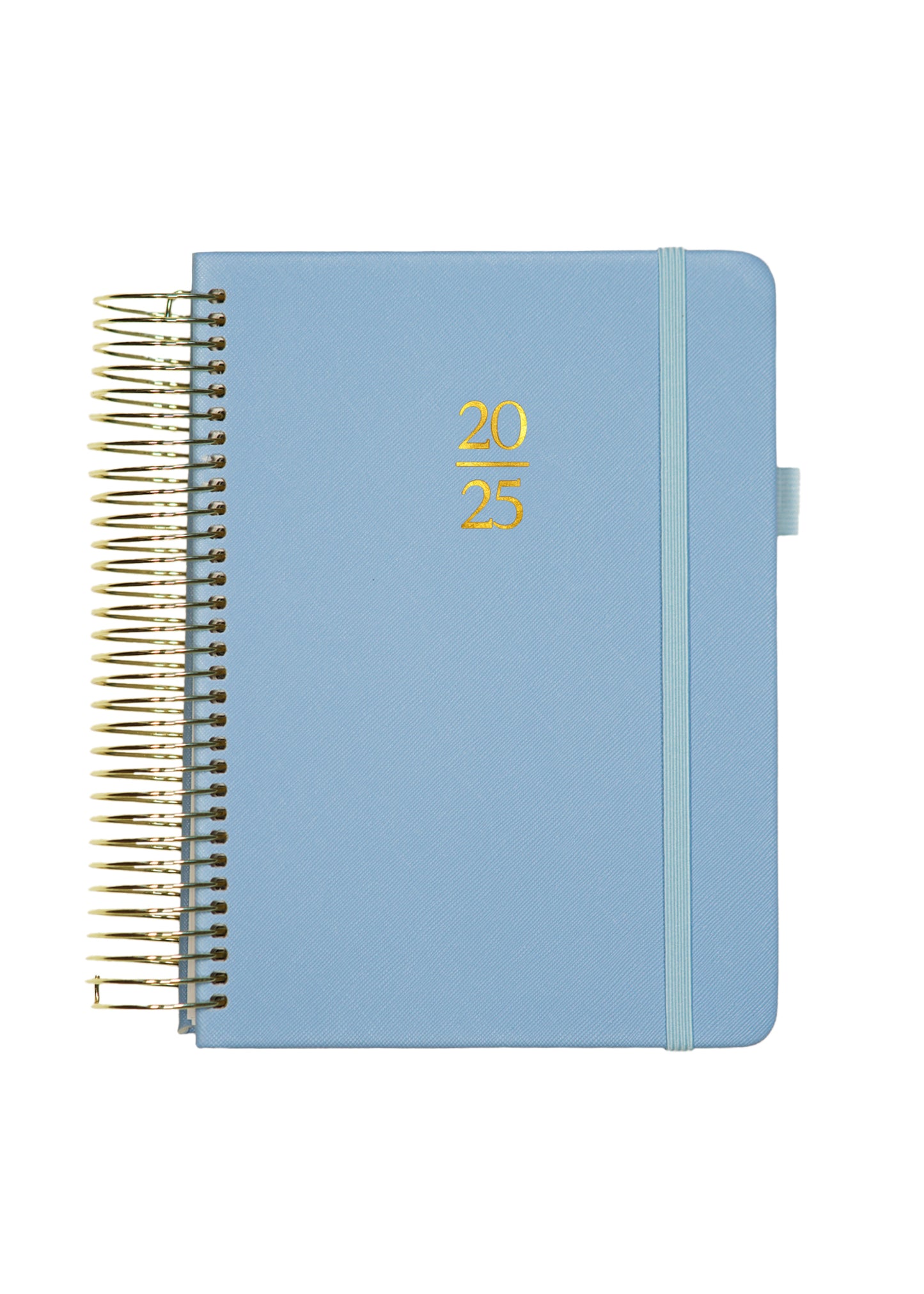 2025 Personalized Illustrated Planner Arctic Blue