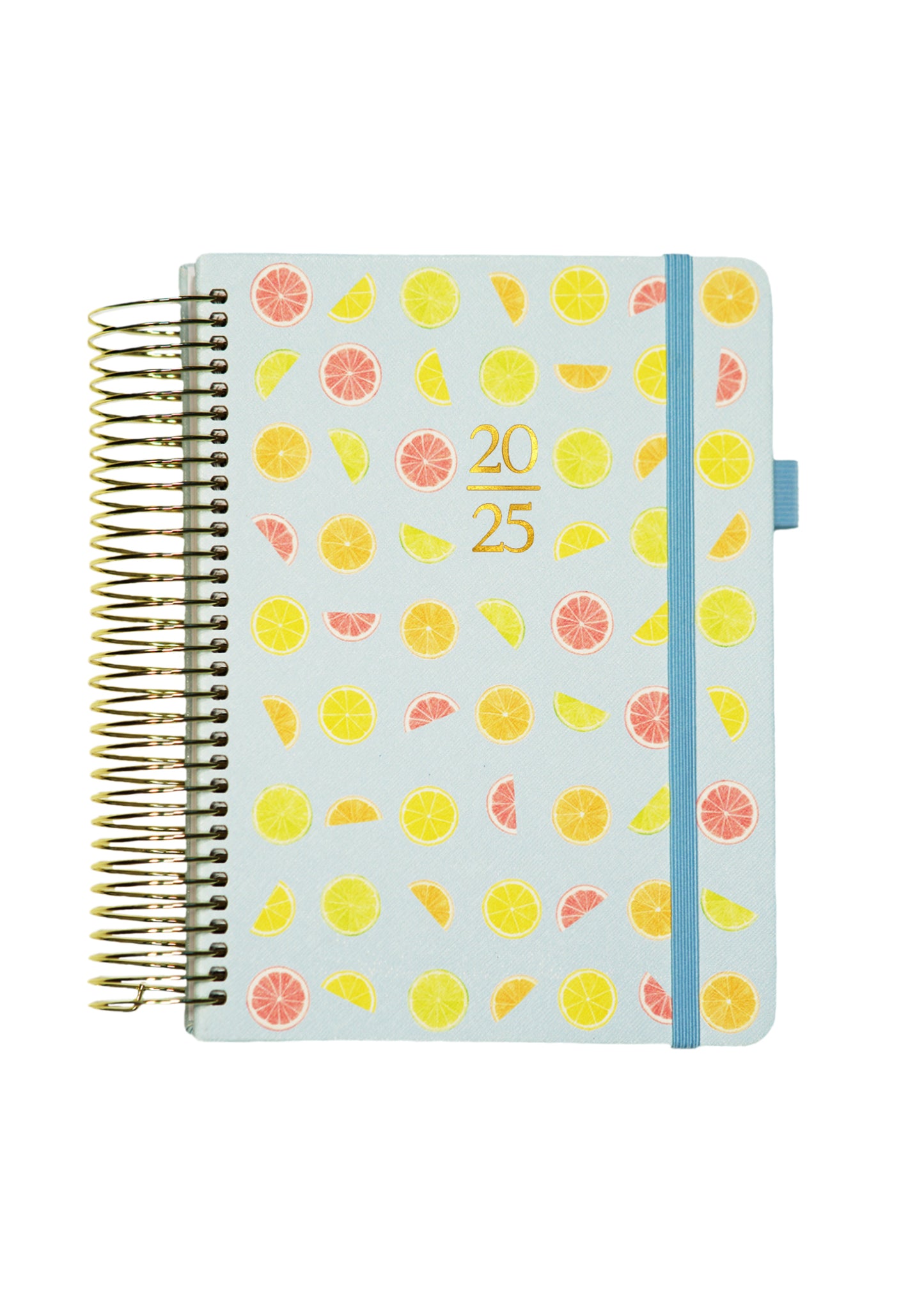 2025 Personalized Illustrated Planner Citrus