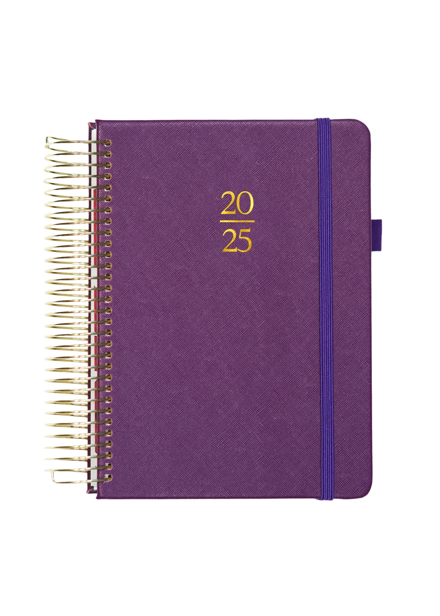 2025 Personalized Illustrated Planner Aubergine