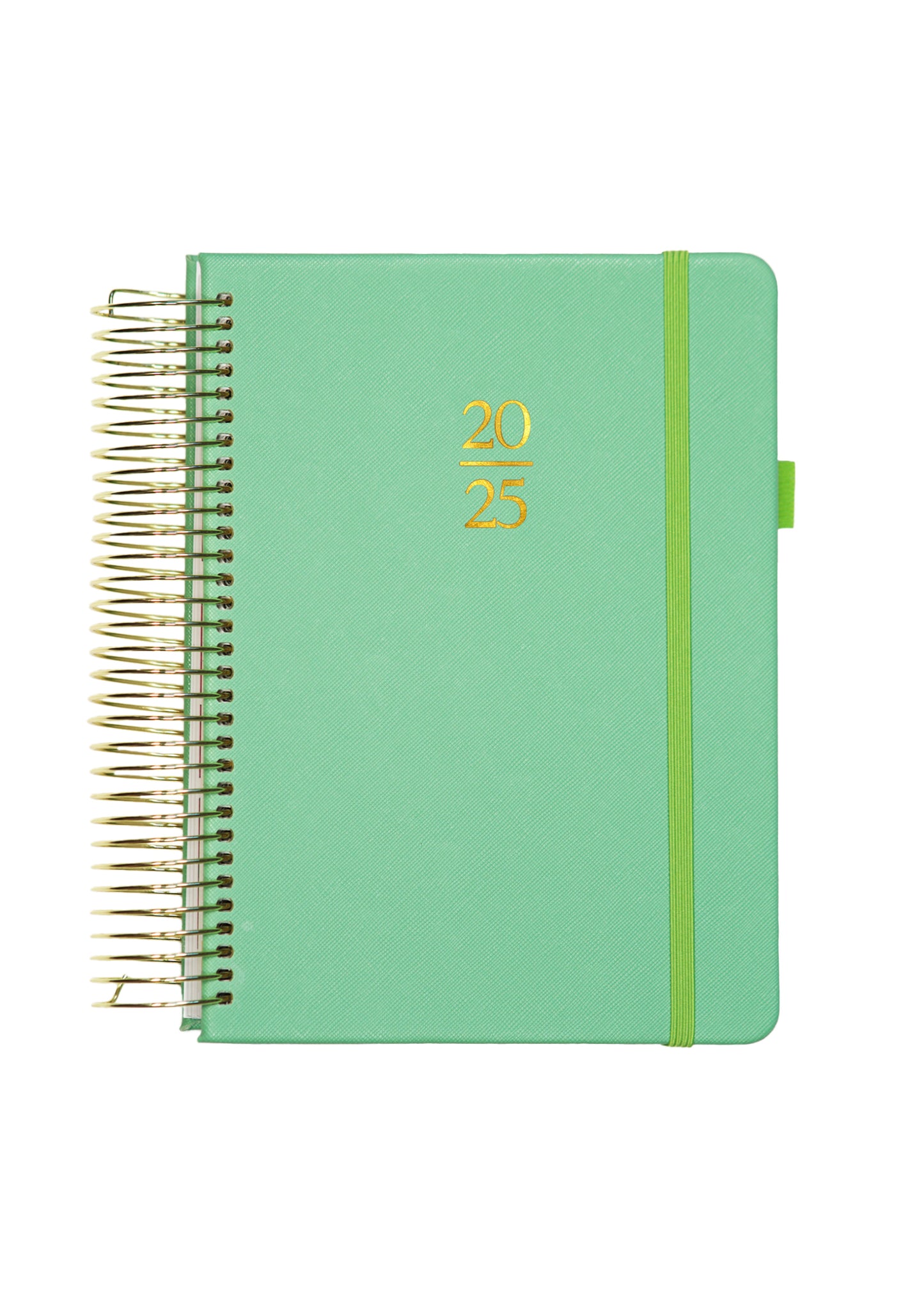 2025 Personalized Illustrated Planner Sage