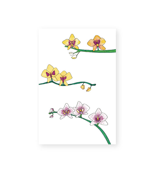 Orchids Art Print