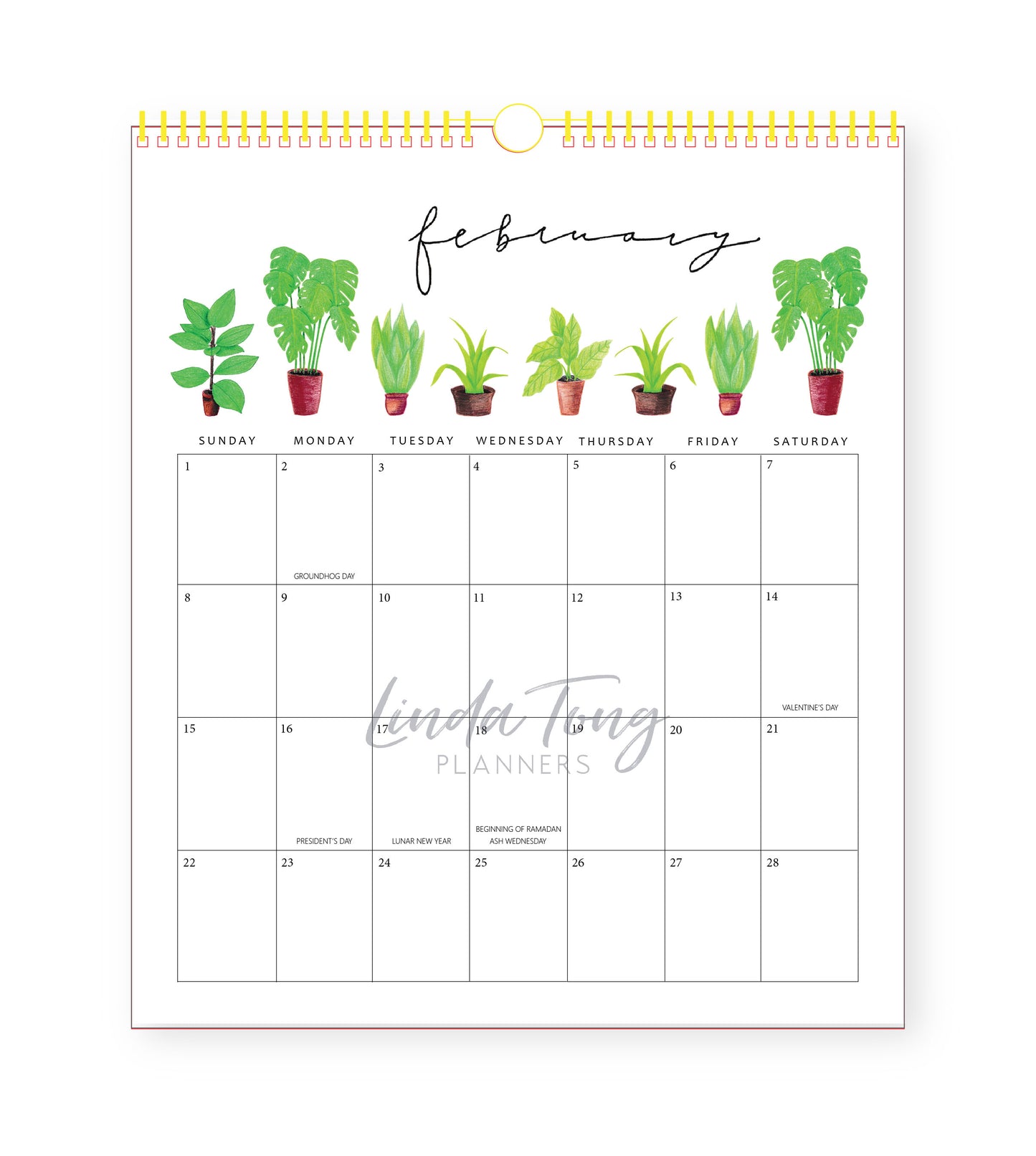 2026 Illustrated Wall Calendar