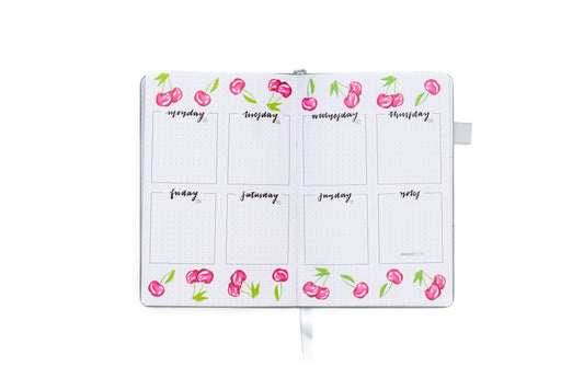 2025-26 Illustrated Planner Bows